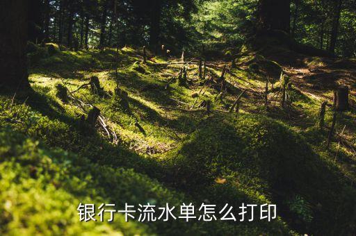 銀行卡流水單怎么打印