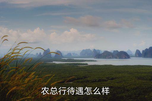 上海農(nóng)商行 總行 待遇怎么樣，急急急上海農(nóng)商銀行和農(nóng)業(yè)銀行上海分行柜員的待遇哪個比較好