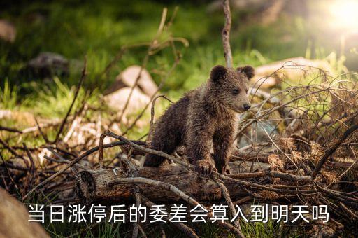 漲停委托 次日怎么算，如何計算第二天的漲停及如何掛單