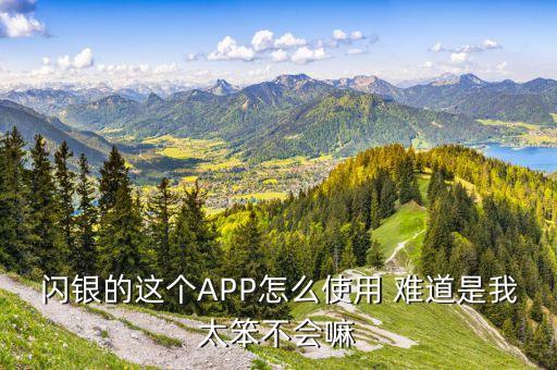 閃銀的這個APP怎么使用 難道是我太笨不會嘛