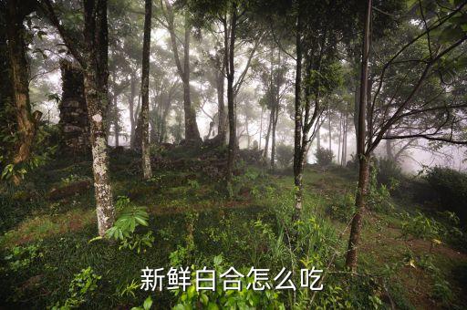 元合怎么做好吃，百合可以怎么吃呢