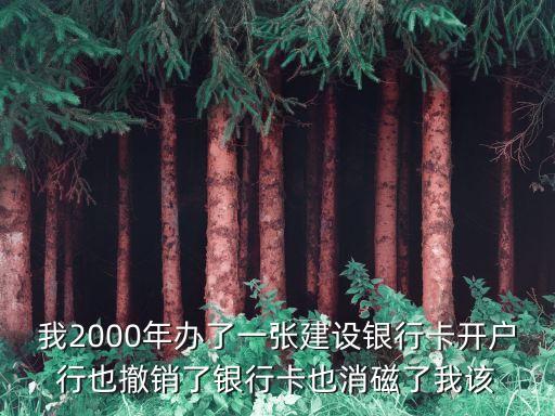 我2000年辦了一張建設銀行卡開戶行也撤銷了銀行卡也消磁了我該