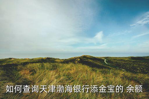如何查詢天津渤海銀行添金寶的 余額