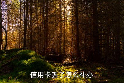 歐洲信用卡丟了怎么辦，信用卡丟了怎么補(bǔ)辦