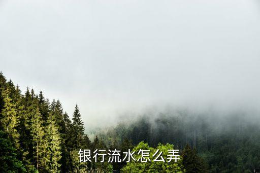 銀行流水怎么弄