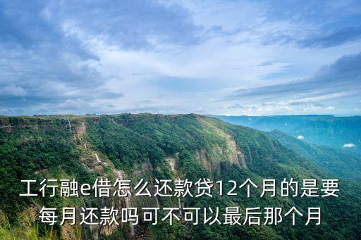 工行融e借怎么還款貸12個(gè)月的是要每月還款嗎可不可以最后那個(gè)月