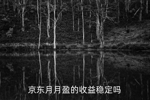 京東月月盈的收益穩(wěn)定嗎