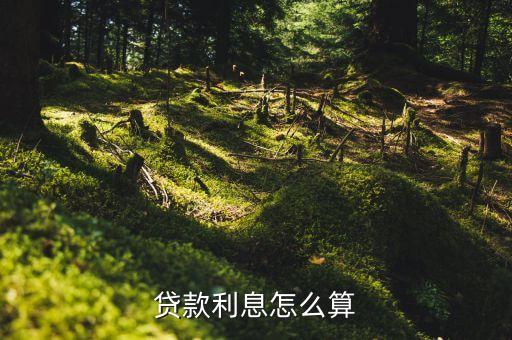 貸款利率和利息怎么算，貸款利息怎么算