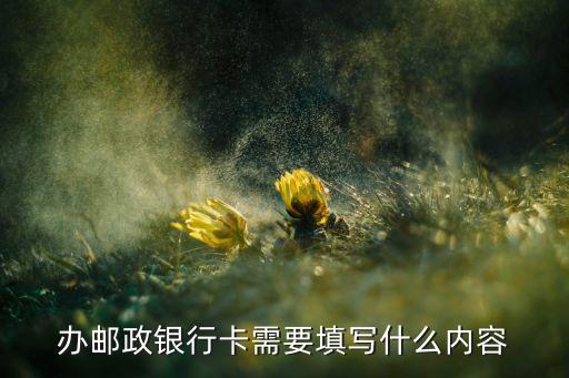 辦郵政銀行卡需要填寫什么內(nèi)容