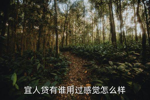 宜人貸怎么樣 好下嗎，宜人貸有誰用過感覺怎么樣