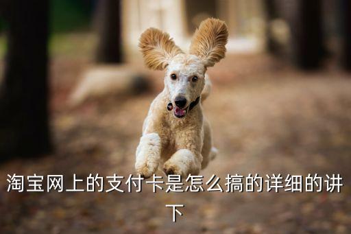 淘寶網(wǎng)上的支付卡是怎么搞的詳細的講下