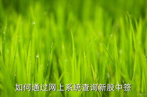 如何通過(guò)網(wǎng)上系統(tǒng)查詢新股中簽
