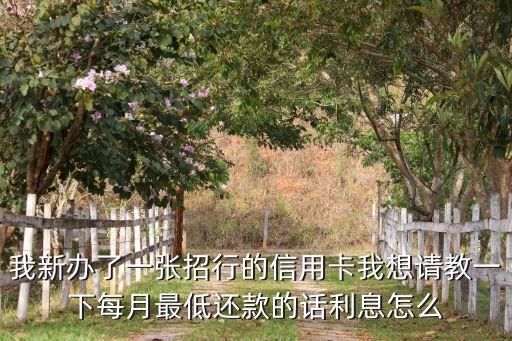我新辦了一張招行的信用卡我想請(qǐng)教一下每月最低還款的話利息怎么