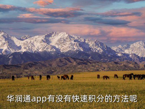 華潤(rùn)通app有沒(méi)有快速積分的方法呢
