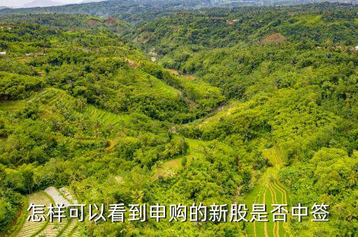 怎樣可以看到申購(gòu)的新股是否中簽