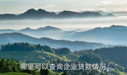 怎么查自己公司的貸款多少時間嗎，怎么查詢以前的貸款記錄包括公司名稱金額年份