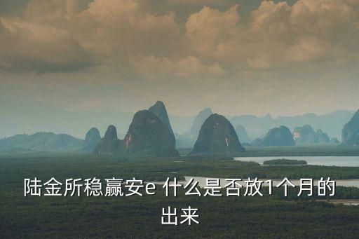 穩(wěn)盈安e怎么買，陸金所穩(wěn)贏安e 什么是否放1個(gè)月的出來