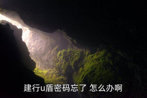 建行新u盾密碼忘了怎么辦，建行u盾密碼忘了 怎么辦啊