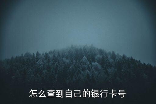 怎么查到自己的銀行卡號