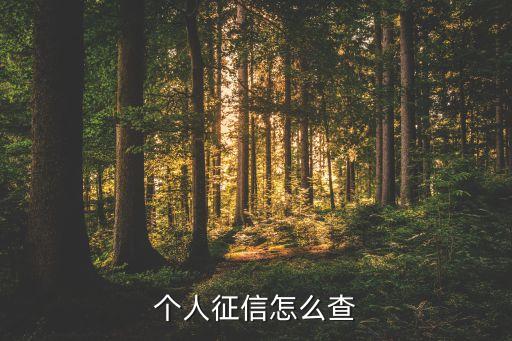 個(gè)人征信怎么查