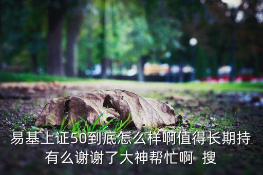 易基上證50到底怎么樣啊值得長(zhǎng)期持有么謝謝了大神幫忙啊  搜