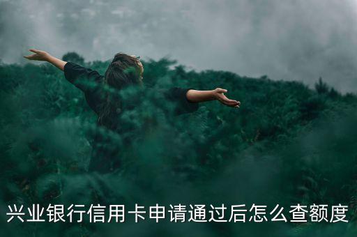 興業(yè)銀行信用卡申請(qǐng)通過后怎么查額度