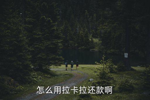 怎么用拉卡拉還款啊