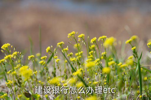 建設(shè)銀行怎么辦理etc