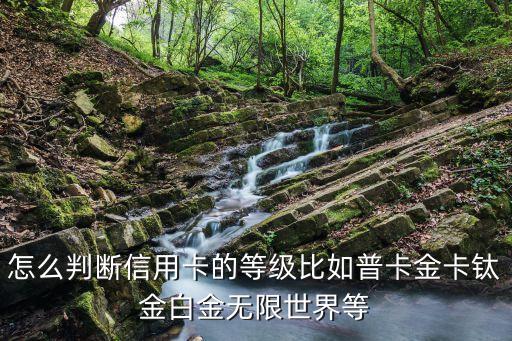 怎么判斷信用卡的等級比如普卡金卡鈦金白金無限世界等