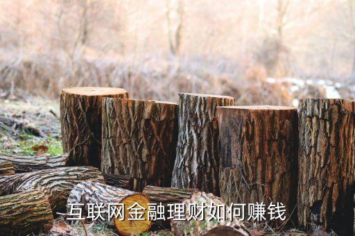 互聯(lián)網(wǎng)金融理財如何賺錢