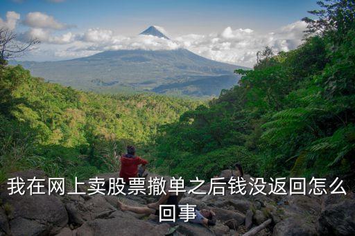 撤單廢單怎么錢沒回來，股票廢單并沒有買入但資金也沒回賬戶 是怎么回事
