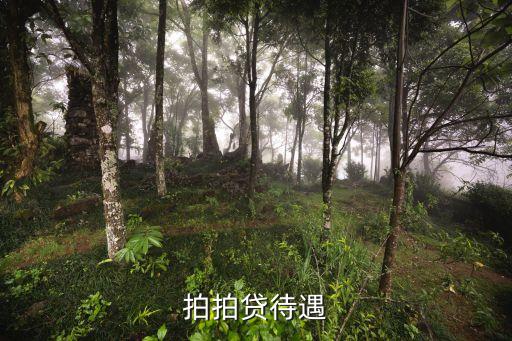 拍拍貸里面工作怎么樣，去拍拍貸工作怎么樣