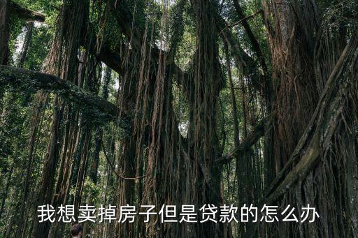 賣房子還有貸款怎么辦，我想賣掉房子但是貸款的怎么辦
