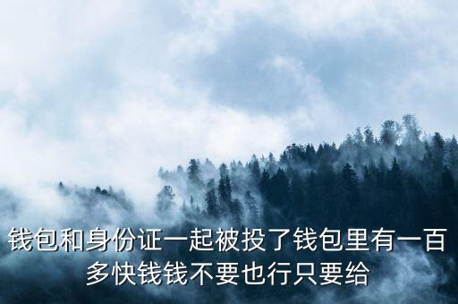 錢包和身份證一起被投了錢包里有一百多快錢錢不要也行只要給