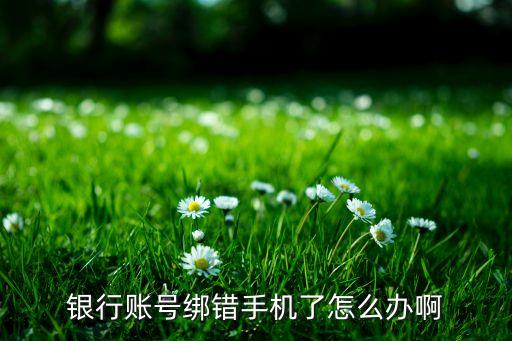 銀行賬號(hào)綁錯(cuò)手機(jī)了怎么辦啊