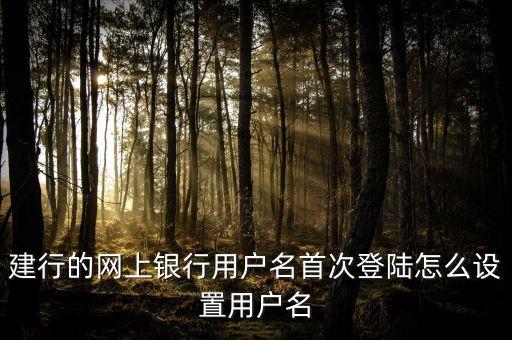 建行怎么設置用戶名，建設網(wǎng)銀怎么設置用戶名