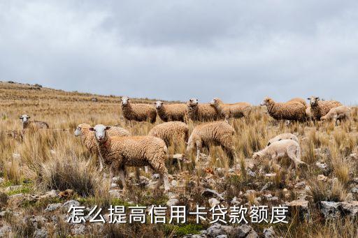 怎么提高信用卡貸款額度