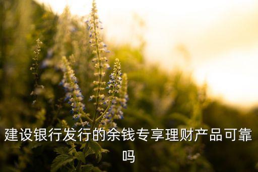 余錢罐金服怎么樣，有余金服怎么樣