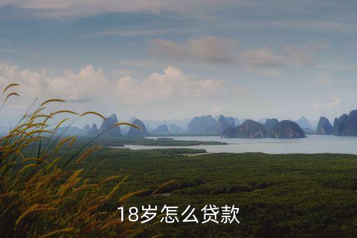 18歲怎么借款，剛滿18周歲如何貸款
