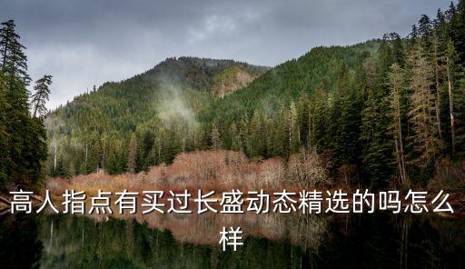 高人指點(diǎn)有買過(guò)長(zhǎng)盛動(dòng)態(tài)精選的嗎怎么樣