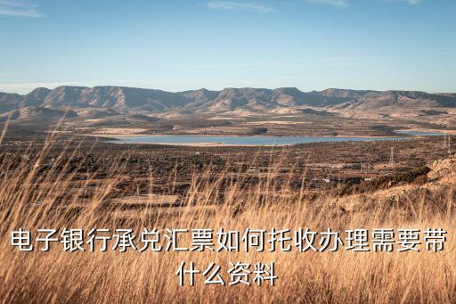 電子銀行承兌匯票如何托收辦理需要帶什么資料