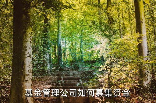 基金管理公司如何募集資金