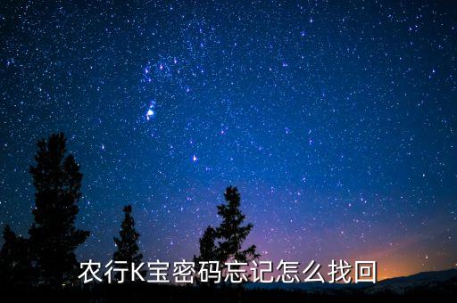 農(nóng)行k寶密碼搞丟了怎么辦，農(nóng)行K寶密碼丟了怎么辦
