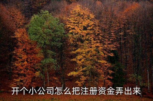 開個小公司怎么把注冊資金弄出來