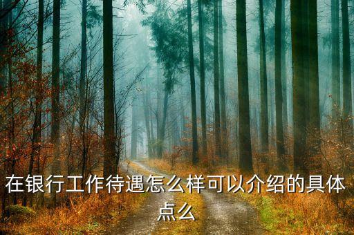想進銀行工作怎么樣，在銀行工作待遇怎么樣可以介紹的具體點么