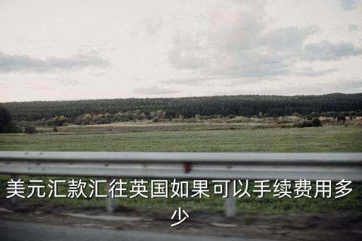 網(wǎng)上的美元怎么轉(zhuǎn)賬手續(xù)費(fèi)是多少錢，從美國(guó)匯錢回中國(guó)手續(xù)費(fèi)是多少