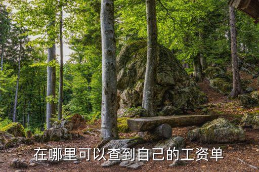 怎么看自己的工資單，工資查詢怎樣查