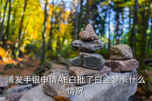 浦發(fā)手銀申請AE白批了白金夢卡什么情況