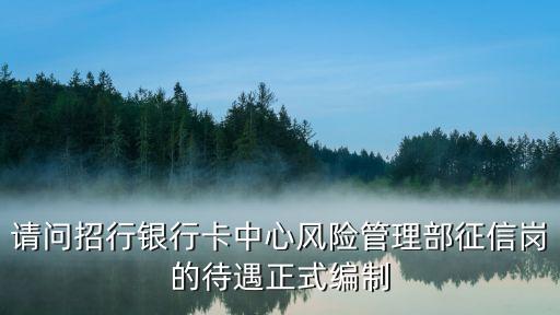 請問招行銀行卡中心風險管理部征信崗的待遇正式編制