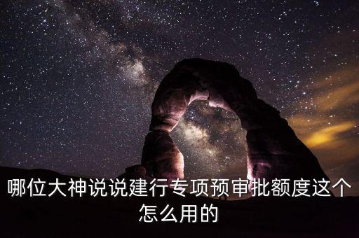 哪位大神說說建行專項預(yù)審批額度這個怎么用的